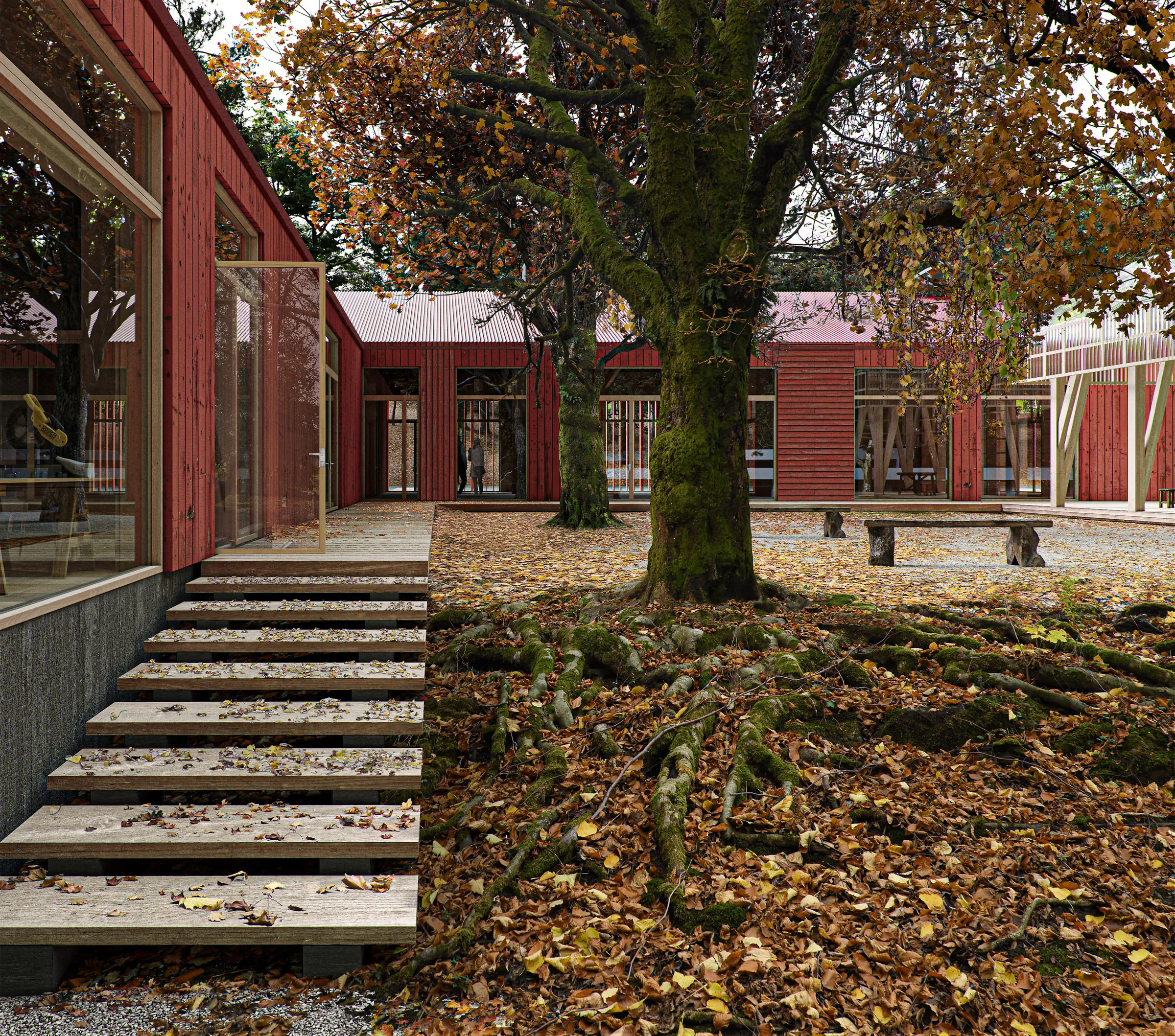 Rødmylla, bilde 2