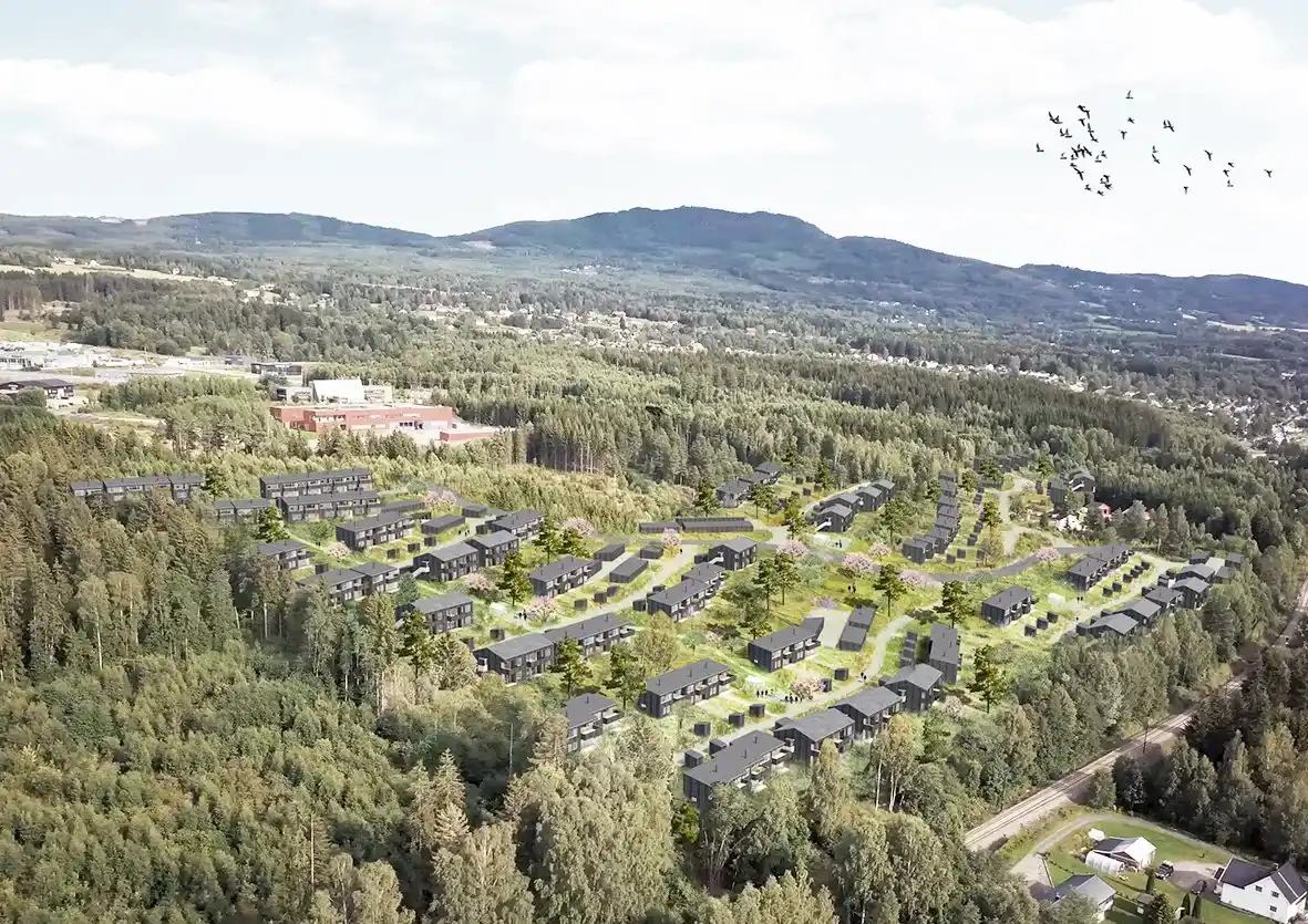 Rognekollen — Regulering