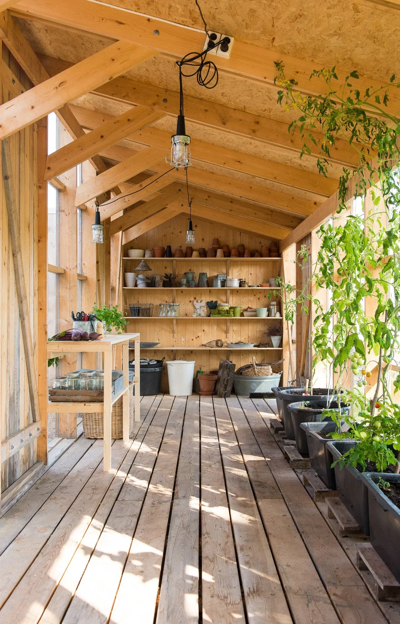Huset i skogen, bilde 2