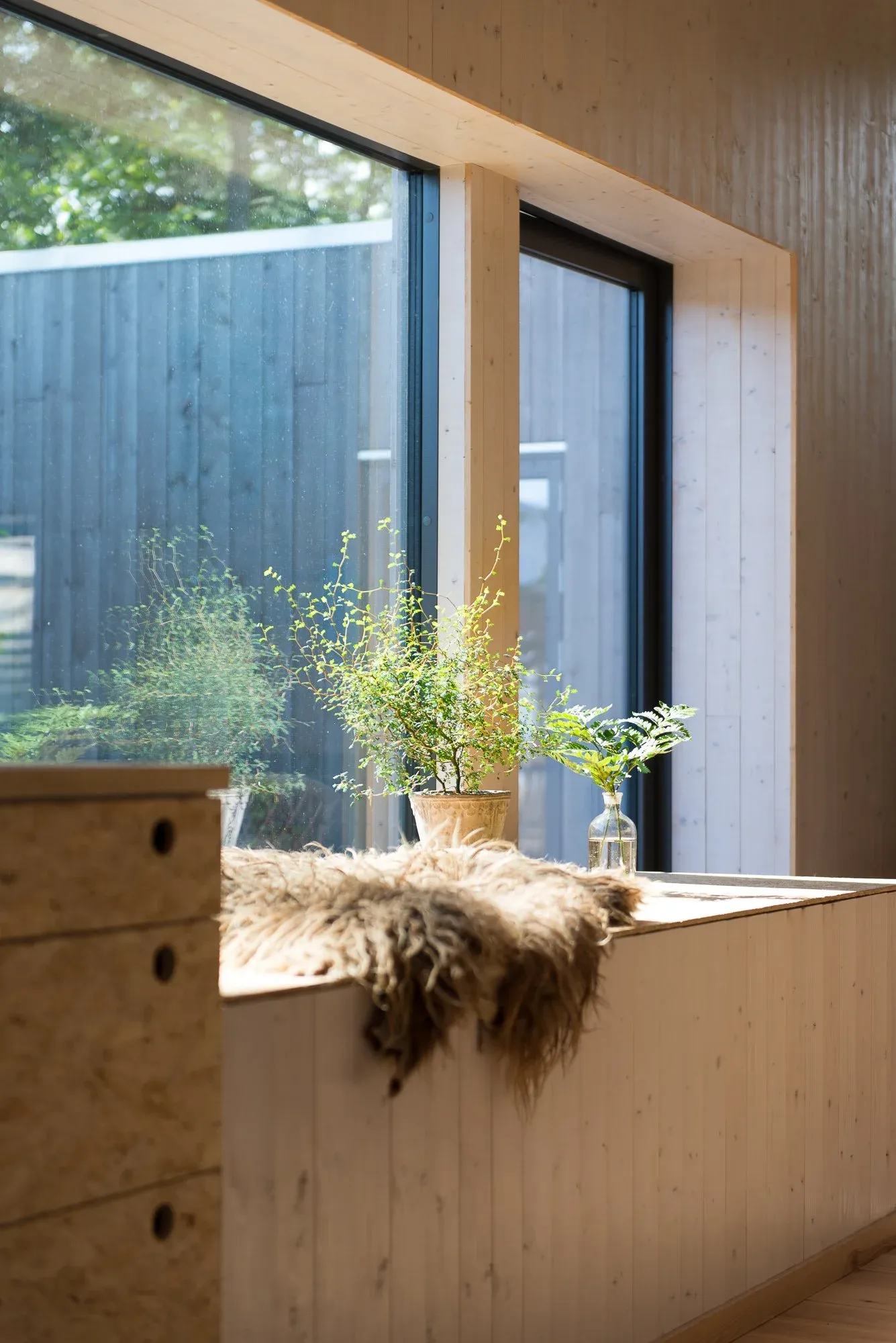 Huset i skogen, bilde 4