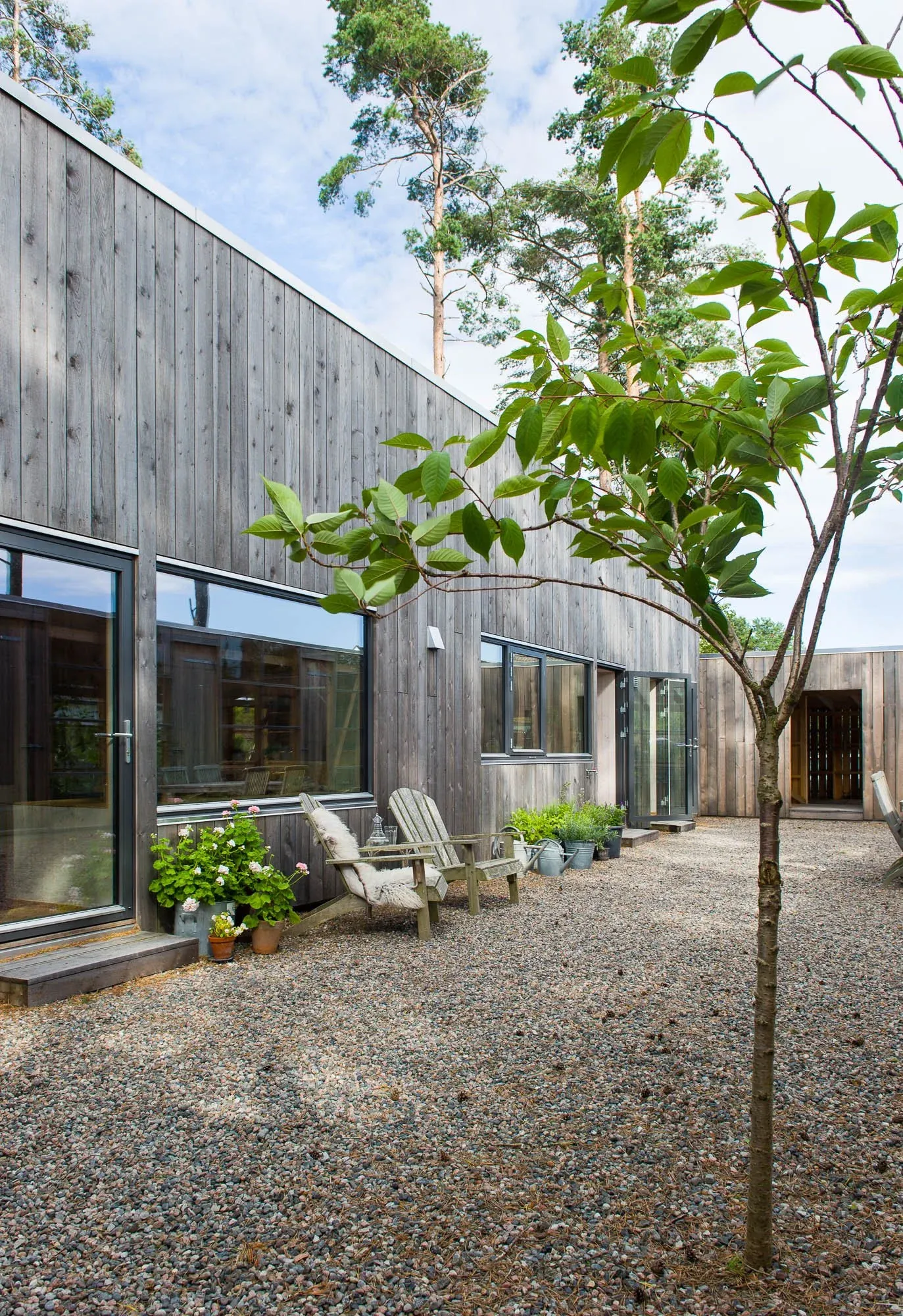 Huset i skogen, bilde 10